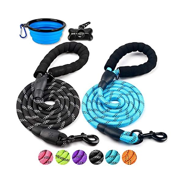thick dog leash