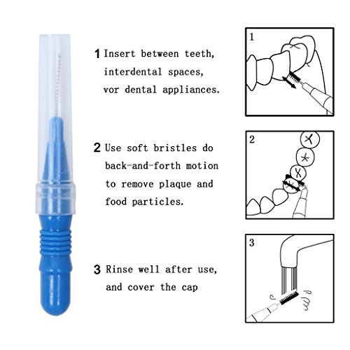 1 Interdental+River+Lake+Toothpick+Cleaners