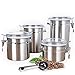 Airtight Canister Set Stainless Steel,4 Piece Food Storage Container with Lids for Tea,Coffee,Snacks, Milk Powder,Sugar,Flour Canisters with Clear Lid Locking Clamp-Spoon Included