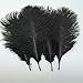 Sowder 20pcs Natural 10-12inch(25-30cm) Ostrich Feathers Plume for Wedding Centerpieces Home Decoration(Black)