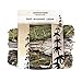 Juniper Ridge White Sage, Mugwort & Siskiyou Cedar Incense Bundle | Aromatherapy | No Synthetic Fragrance | Mini Variety | Pack of 3
