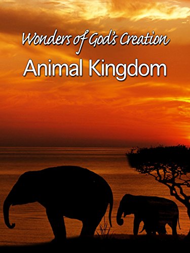 Wonders of God's Creations: Animal Kingdom