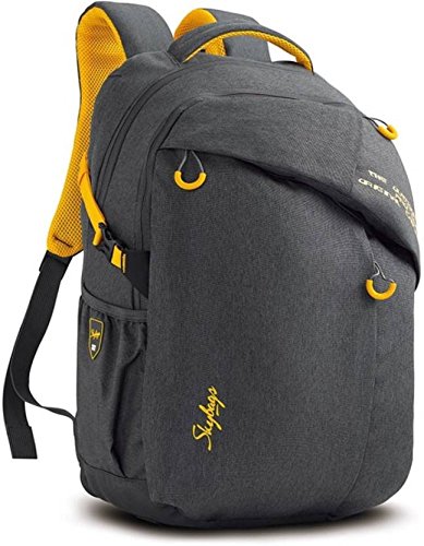 skybags ion 36 ltrs grey laptop backpack