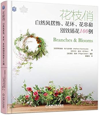 Amazon Fr 花枝俏 自然风摆饰花环花串和别致插花100例美国花艺工作室用鲜花和枝叶制作花品花材搭配造型技巧花艺设计与制作书籍装饰品