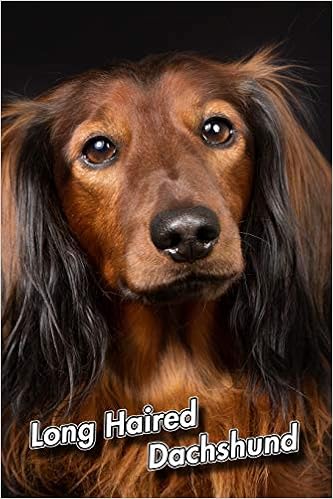 Long Haired Dachshund Composition Book 150 Pages 6 X 9 In