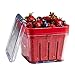 Chef'n Bramble Berry Basket and Colander (1-Quart, Cherry)
