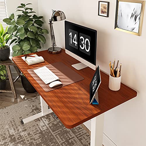 FLEXISPOT EC1 Essential Electric Standing Desk Whole Piece 48 x 24 Inch