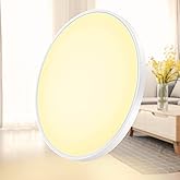 inShareplus 15.7inch LED Ceiling Light, 32W [320W Equiv] Nature White 2800K Flush Mount Ceiling Lights Fixture, 3800LM White 