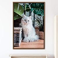 Framed Canvas Wall Art Cat Animals Cat Chic Multicolor Photography Urban - 16x24 inches