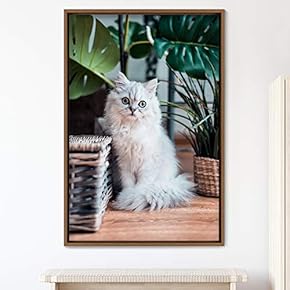 signwin Framed Canvas Wall Art Cat Animals Cat...