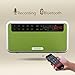 Rolton E500 Portable Stereo Bluetooth Speakers FM Radio Clear Bass Dual Track Speaker TF Card USB Music Player (Green)