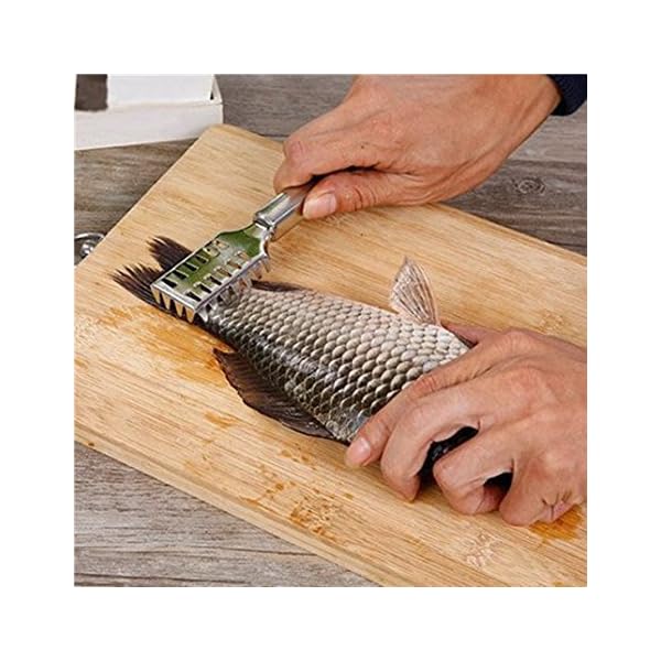 Actopus-3PCS-Fishing-Scaler-Fish-Skin-Stainless-Steel-Scales-Brush-Cleaner-Descaler-Skinner-Tackle-Box-Accessory-Kitchen-Tool