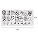 Mezerdoo 1Pcs Skull and Spider Web Series Nail Art Stamping Template
