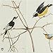 Alink Spring Birds Paper Napkins, 20 Count Shabby Chic Napkins for Wedding, Dinner Tea Party Shower