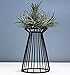 Pack of 2 Air Plant Tillandsia Base Large Tillandsia Air Plant Holder Metal Indoor Tabletop Big Streptophylla Air Plant Stands Tillandsia Plant Racks Large Xerographica Air Plant Stand