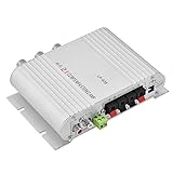 Tihebeyan 2 Channel 12v 15w Bass Amplifier Stereo