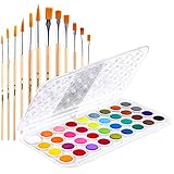 Fundamentals Watercolor Artist Set, 36-color Ohuhu Watercolor Pan Set Water Color Set, Bonus a Variety of 12 Paintbrushes for Watercolor Paints, Acrylic Painting
