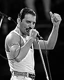 Freddie Mercury / QUEEN 8 x 10 GLOSSY Photo Picture