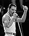 Freddie Mercury / QUEEN 8 x 10 GLOSSY Photo Picture