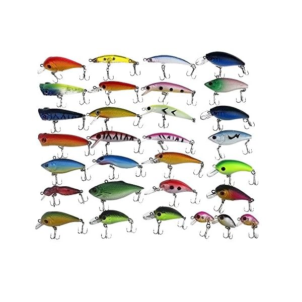 APG-30pcs-3D-Eyes-Bright-Color-Crankbait-Assorted-Fishing-Lures-Spinner-Baits-Fish-Hooks-Tackle