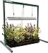 Jump Start 2' T5 Grow Light System (Stand, Fixture & Tube) - JSV2