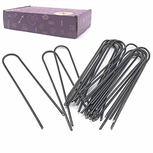 Best Led Lighting Landscape Edging