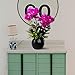 YILIYAJIA Artificial Orchid Bonsai with Ceramics Vase, Fake PU Real Touch Flowers Phalaenopsis Bonsai for Table Office Home Party Decoration (Style 1, Black Vase)