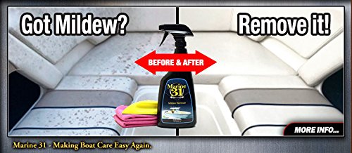 Marine 31 Mildew Remover (128oz)