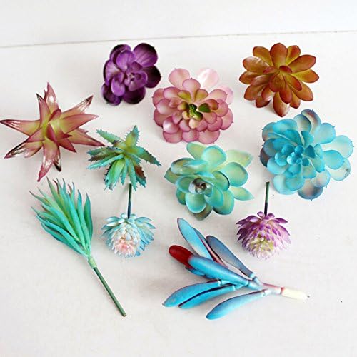 Dutch Brook 5Pcs Different Succulents Artificial Cactus Plants for Office Home Garden Decor (Sent Randomly) (Purple)
