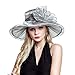 Womens Organza Church Summer Wide Brim Kentucky Derby Tea Party Wedding Hats