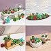 UNQUER 18 Pack Artificial Succulent Flocking Plants - Unpotted Faux Flocked Succulent Assortment Create Realistic Succulent Arrangements Fake Potted Succulent Décor Different Size Lotus Garden DYI