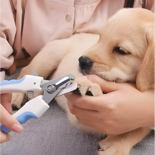 Cortador de Unhas Premium para Pets Cachorro Gato com Lixa Kit 2 Peças em Aço Inoxidável Alicate de Higiene Ferramenta de Cuidados Porte Pequeno Médio Grande