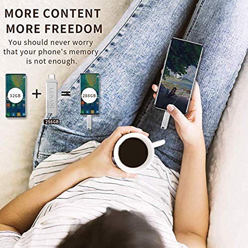 Flash Drive for TypeC_ Type C Flash Drive 256GB Flash Drive Type C USB 3.0 Flash Drive Type C High Speed OTG ffor Android,PC Drive USB Type-C（Silver）