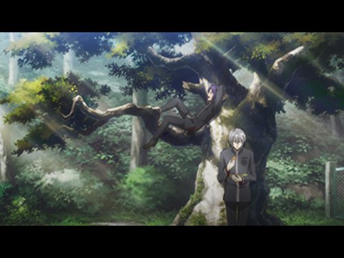 Amazon Co Jp 緋色の欠片を観る Prime Video