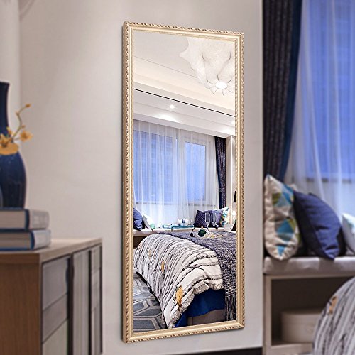 Hans & Alice 65"x24" Rectangular Bathroom Full Length Floor Mirror