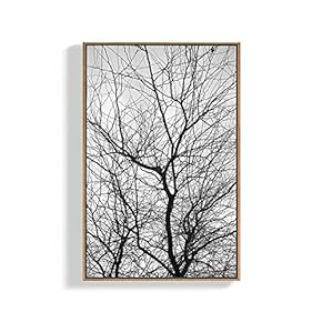 Framed Canvas Home Artwork Decoration Plants Canvas Wall Art for Living Room, Bedroom - 16x24 inches