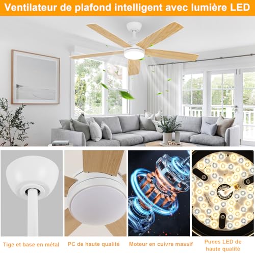 Dorlink Ceiling Fan with Light and Remote Control, 132 cm, Silent Reversible DC Motor, Ceiling Fan with Light for Bedroom, Living Room, Kitchen, Natural Wood Tint/White