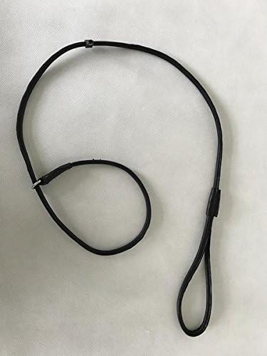doghealth Genuine Real Leather Slip lead (6mm x140cm)