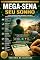 Livro Mega Sena : Seu Sonho