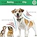 iWings Shock Collar for Dogs Upgraded Smart Detection Module with Triple Anti Barking Modes Collar: Beep/Vibration/Shock for Small, Medium, Large Dogs Breeds,Waterproof with Green Strapthumb 2