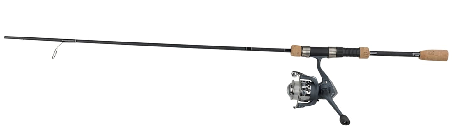 roddy fishing pole