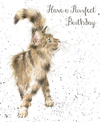 Wrendale Designs - 'Just Purrrfect' Card