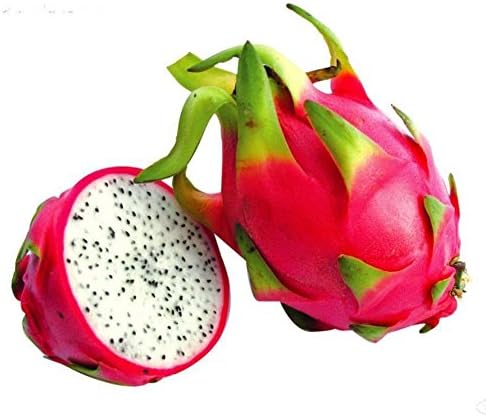 KAYI Mix Pitaya Dragon Fruit Four Seasons Seeds Balcony Potted Novely Seeds Home Planting Red Skin Shite Core