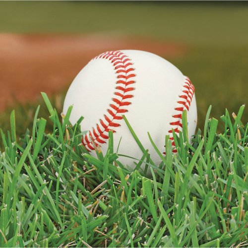 Baseball Fanatic Beverage Napkins (18 ct)