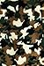 Prince of Sleep Plush Pajama Pants - Fleece PJs for Boys, Camouflage, Boys' 8
