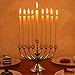 Unomor Hanukkah Menorahs with 9 Branches, Sliver Chanukah Menorah, Resin Made with Metal Cover