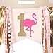 WAOUH HighChair Banner for 1st Birthday - First Birthday Decorations for Photo Booth Props, Birthday Souvenir and Gifts for Kids, Best Party Supplies(Flamingo)