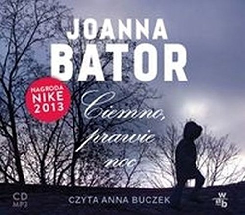 Ciemno, prawie noc. Audiobook