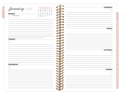 image for bloom daily planners 2018 Calendar Year HARD COVER Daily Planner - Pas