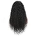 Am Youth Lace Front Wigs Human Hair Brazilian Remy Water Wave Human Hair Wig for Black Women With Baby Hair 130% Density Natural Color 14 Inch